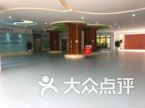 长沙岳麓区教育院校 人才培养的坚实基地